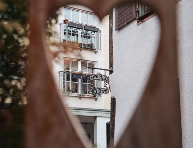 Pension Goldener Zwinger マイニンゲン エクステリア 写真